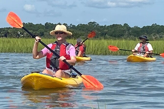 guided-tour-for-dolphin-sea-turtle-observation-in-saint-augustine-florida