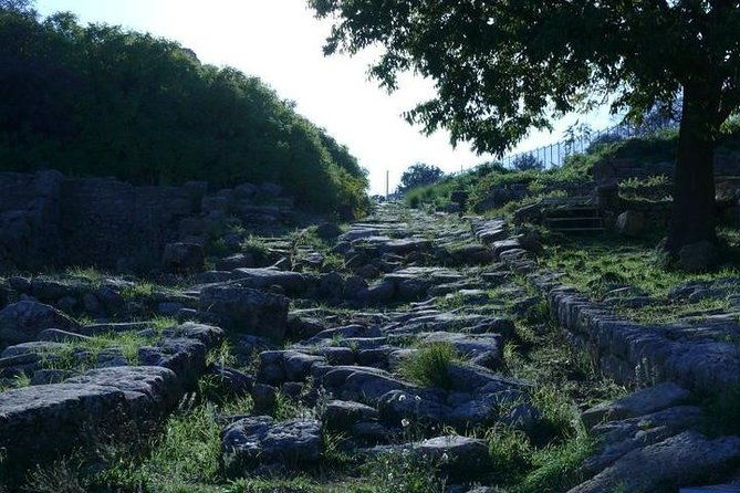 guided-tour-in-morgantina-visit-morgantina