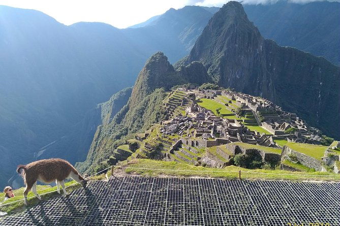 guided-tour-of-machupicchu-private-and-flexible-3-hours