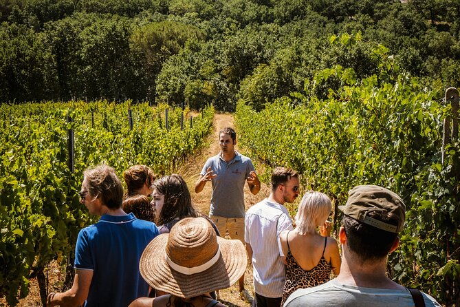 guided-tour-of-the-cellars-with-wine-tasting-and-lunch