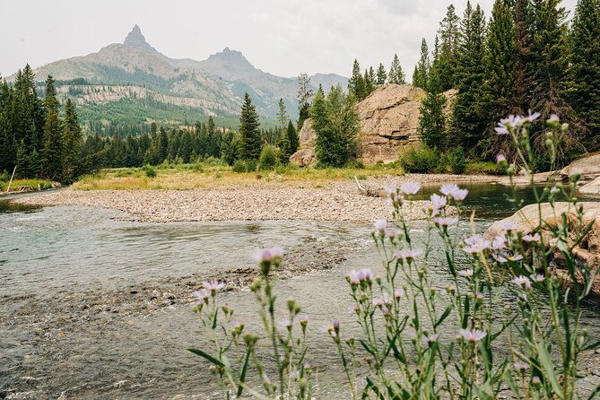 guided-upper-loop-of-yellowstone-tour-from-cody-wy-2