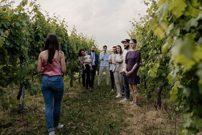 guided-visit-and-wine-tasting-at-the-winery-in-veneto-2