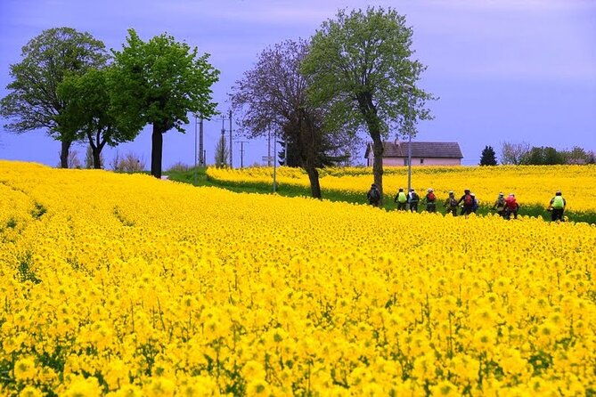 guided-week-bike-tour-in-france-burgundy-wine-region