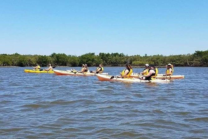 guided-wildlife-eco-kayak-tour-in-new-smyrna-beach