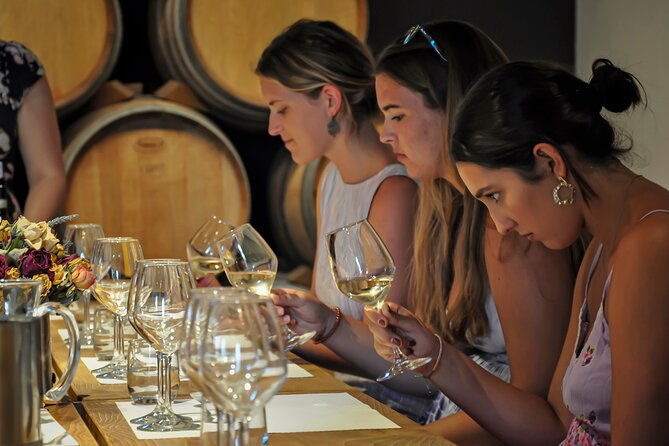 guided-winery-tour-and-wine-tasting-in-siena-2
