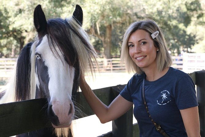 gypsy-gold-horse-farm-tour