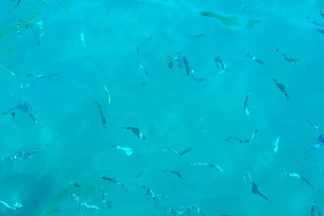 half-day-amalfi-coast-boat-and-snorkeling-tour-in-small-group-2