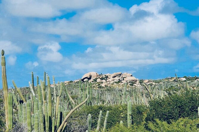 half-day-aruba-utv-adventure-tour
