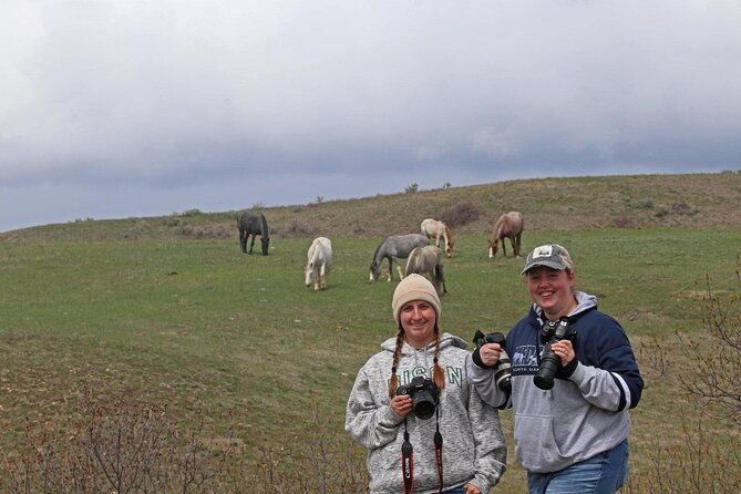 half-day-chasing-horses-wildlife-photography-experience-in-north-dakota