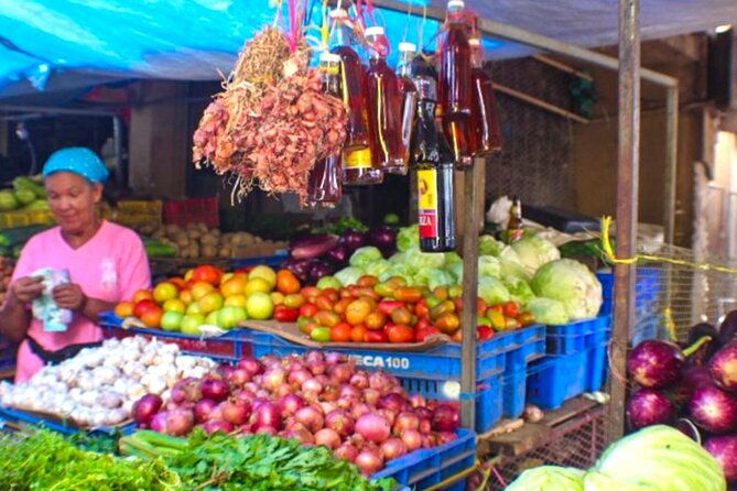 half-day-dominican-republic-cultural-tour-small-group
