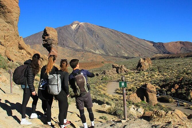 half-day-excursion-to-teide-national-park
