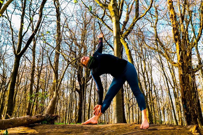 half-day-forest-bathing-and-yoga-in-brightons-woodlands-2