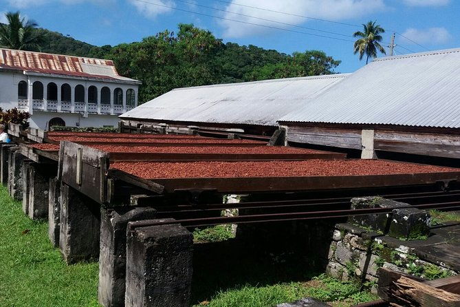 half-day-grenada-island-small-group-sightseeing-tour