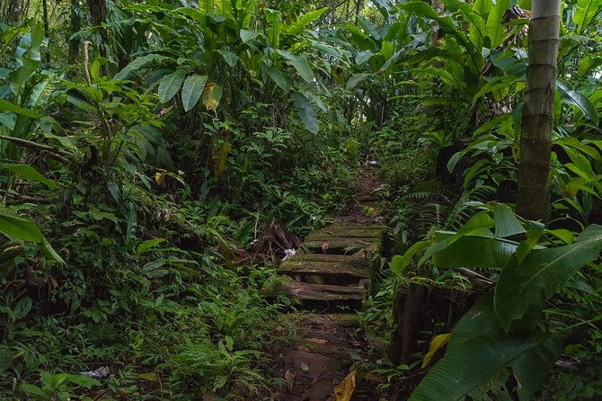 half-day-grenada-sunshine-highlights-tour
