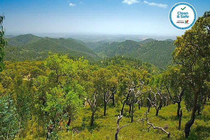 half-day-historical-tour-to-silves-and-monchique