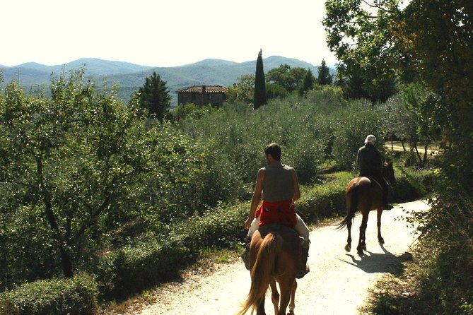 half-day-horseback-ride-in-tuscany-for-beginner-riders