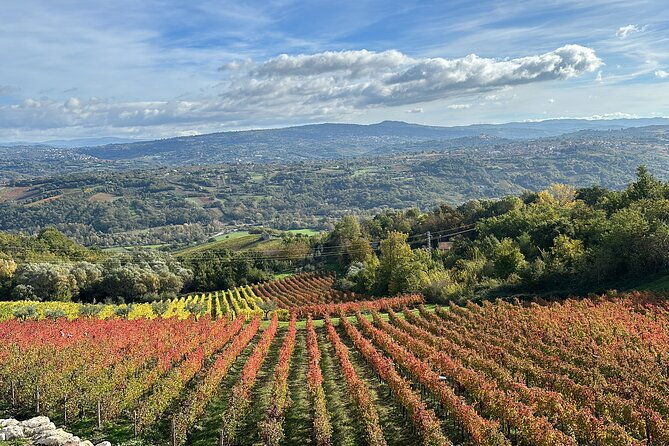 half-day-irpinia-wine-tour-from-salerno