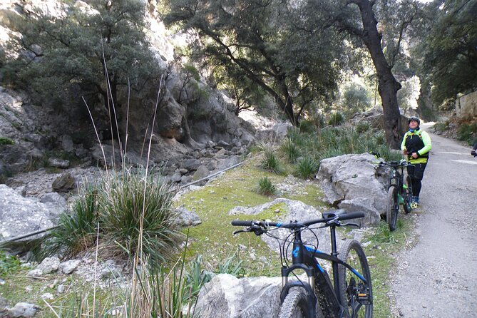 half-day-mountain-bike-experience-to-serra-de-tramuntana