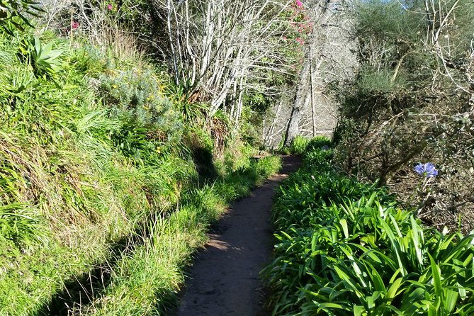 half-day-paradise-valley-walking-tour