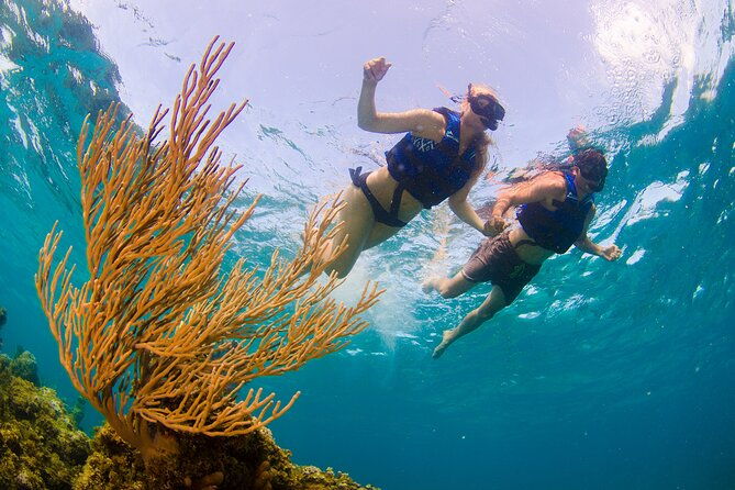 half-day-party-boat-and-snorkeling-in-punta-cana