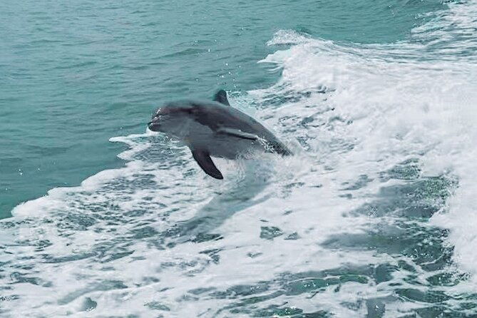 half-day-private-boating-on-blue-hurricane-clearwater-beach