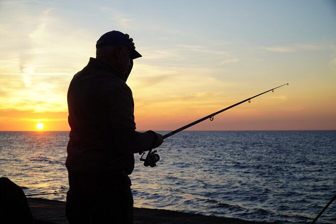 half-day-private-guided-nature-of-floridas-gulf-coast-eco-tour