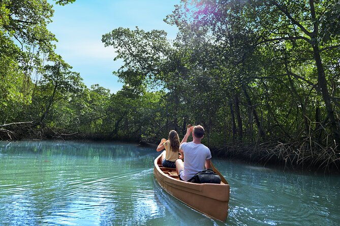 half-day-private-los-haitises-caves-and-mangroves-canoe-tour