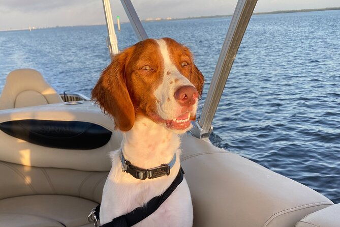 half-day-private-tiki-boat-beach-tour-from-fort-myers
