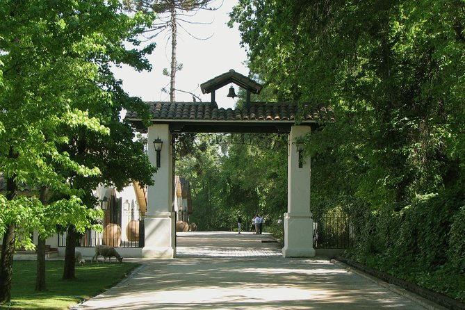half-day-private-tour-concha-y-toro-vineyard-from-santiago-winetasting-included