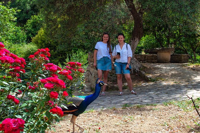 half-day-private-tour-picnic-in-real-cretan-countryside-retreat