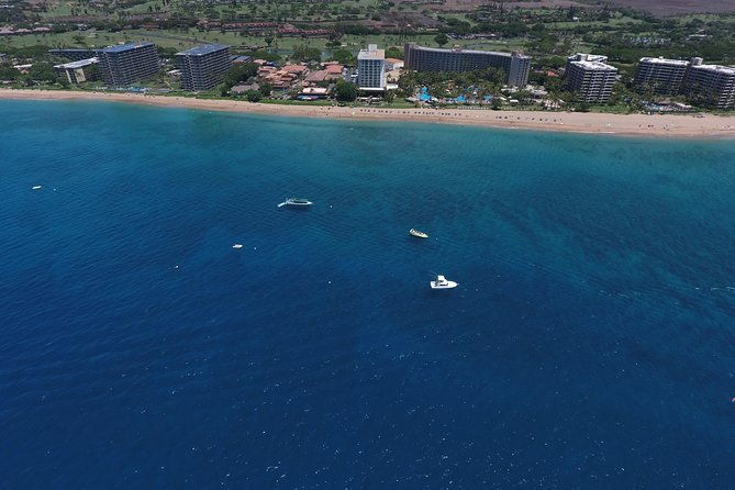 half-day-snorkel-to-lanai-from-kaanapali-beach-dolphin-search