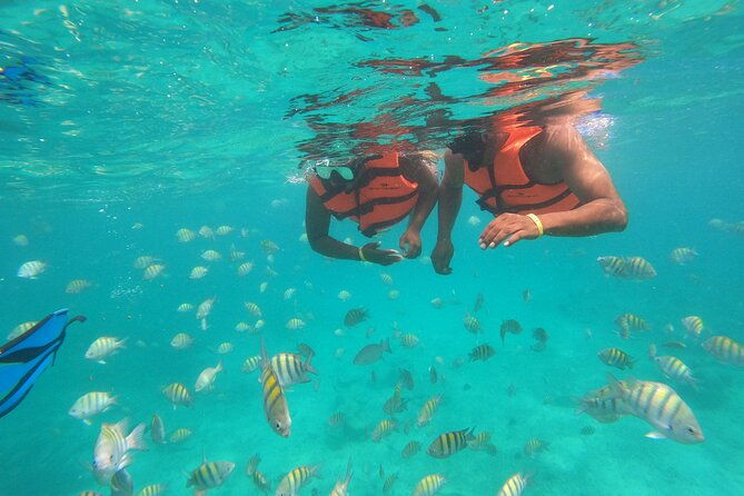 half-day-snorkeling-cruise-and-natural-pool-with-open-bar