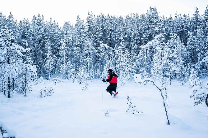 half-day-snowshoe-hiking-adventure-in-levi-lapland