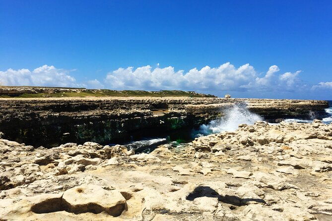 half-day-tour-island-safari-adventure-from-st-johns