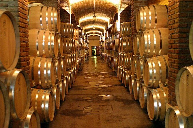 half-day-tour-of-wineries-and-olive-oil-with-lunch-from-mendoza