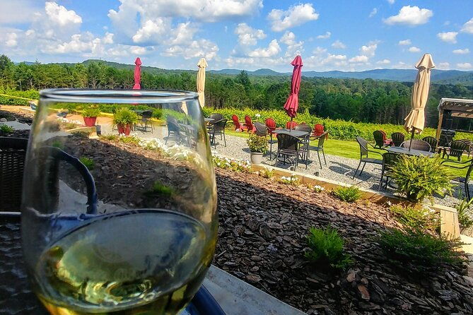 half-day-wine-tastings-in-the-north-georgia-mountains