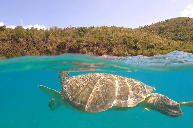 half-or-full-day-private-boat-charter-from-st-john-or-st-thomas