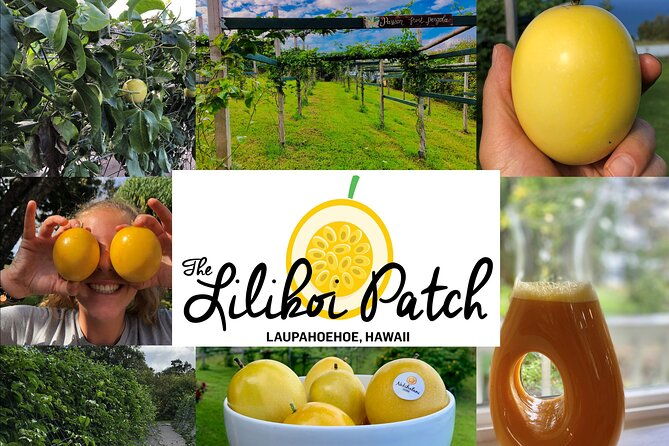hamakua-coast-farm-small-group-walking-and-tasting-tour