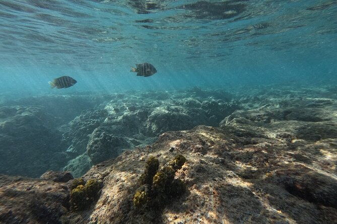 hanauma-bay-guided-snorkeling-tour-with-transportation