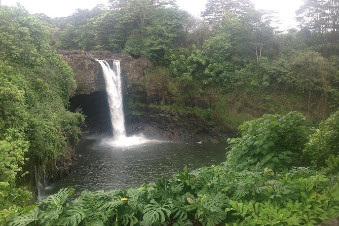 heavenly-hamakua-from-kona-2