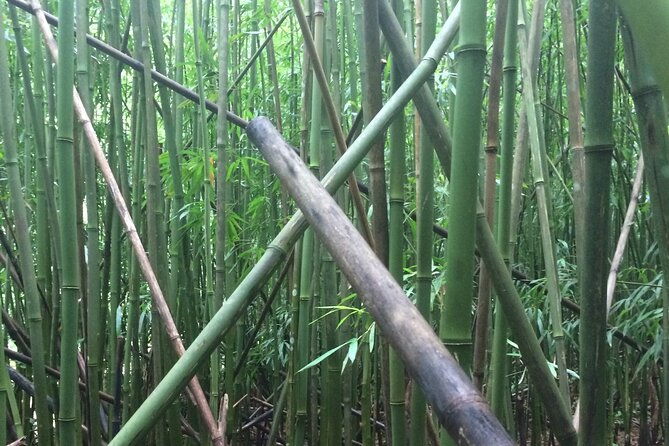 hidden-hawaii-tours
