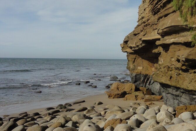 hidden-nature-walks-in-the-city-private-tour