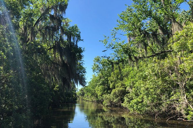 highlights-of-new-orleans-city-and-swamp-tour-combination