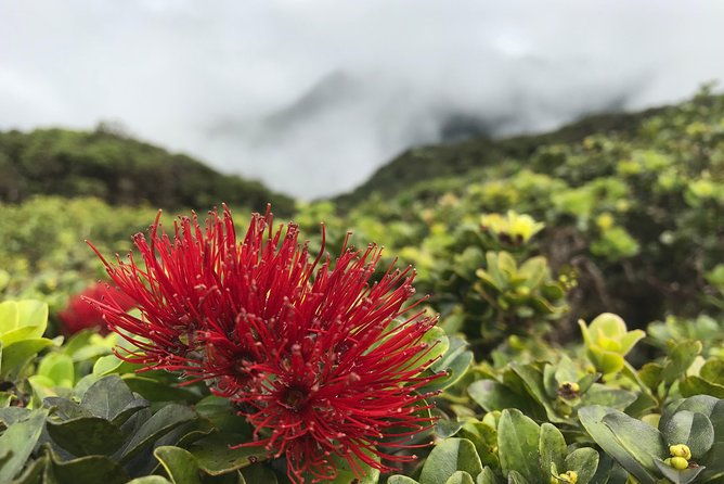 hike-honolua-ridgeline