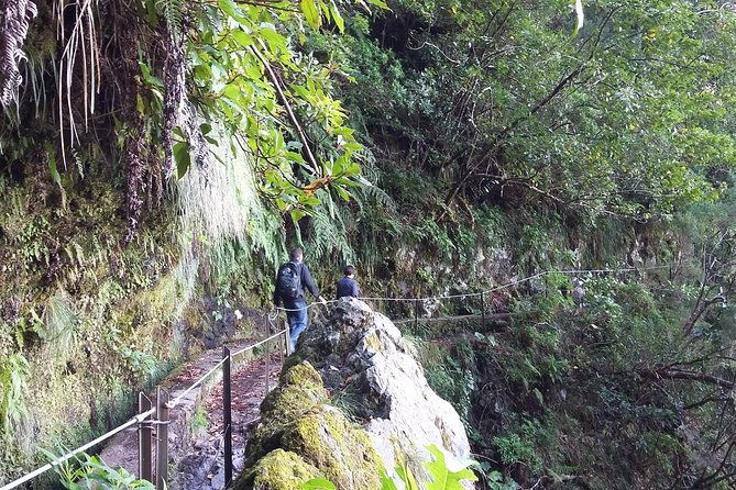 hike-in-laurisilva-levada-do-rei-madre-of-life-small-group-guided-walk