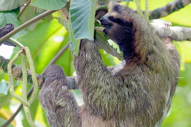 hike-in-the-gandoca-manzanillo-refuge