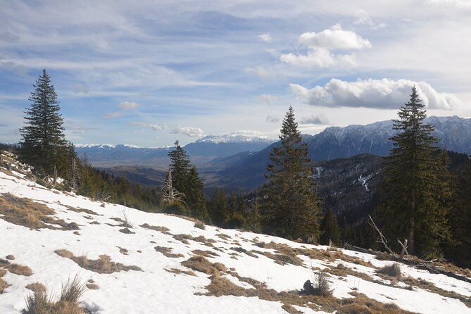 hike-in-the-wild-private-photo-tour