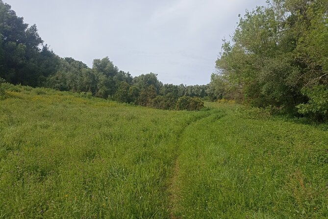 hiking-and-wine-tasting-experience