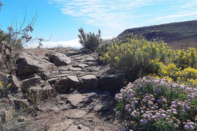 hiking-experience-in-the-north-of-gran-canaria