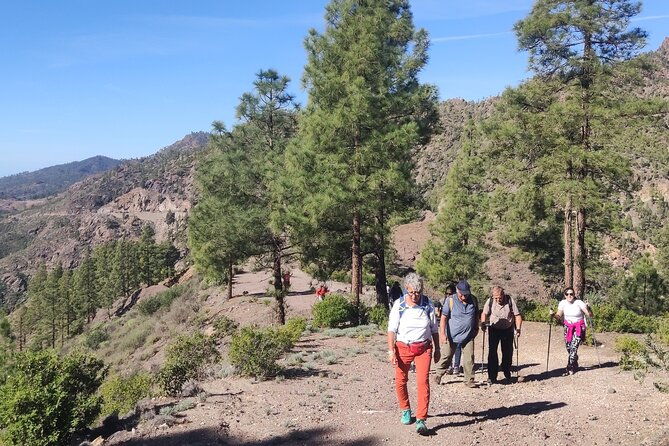 hiking-in-the-sacred-mountains-of-gran-canaria-unesco